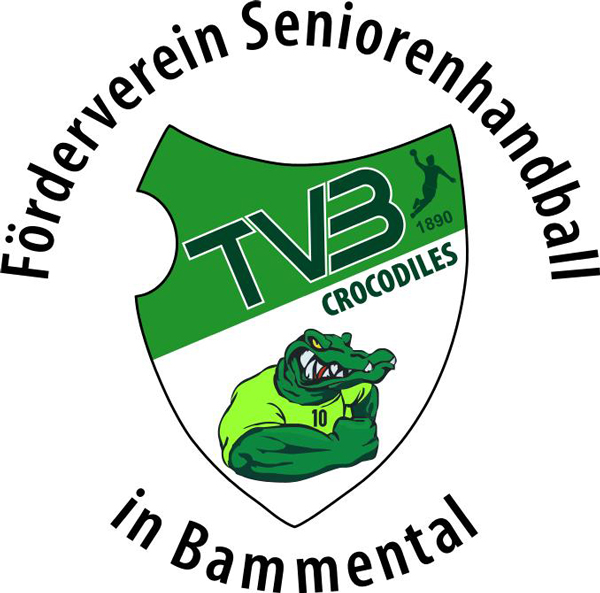 Logo des Förderverein Seniorenhandball in Bammental
