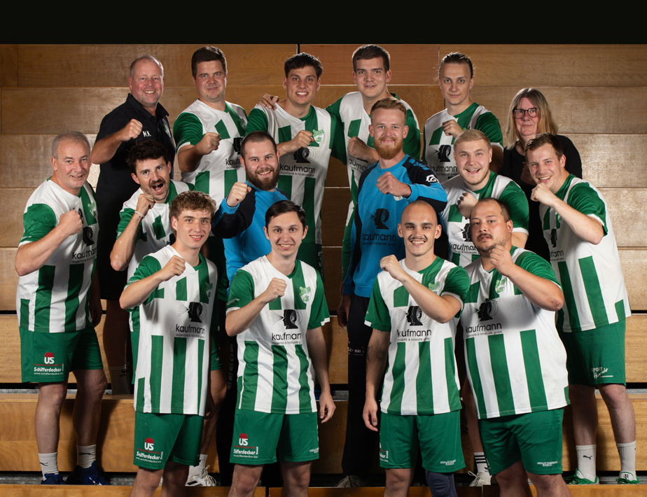 Herrenmannschaft des TVB Handball Bammental