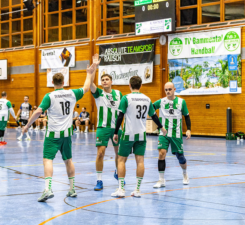 Handballspiel Herren TV Bammental